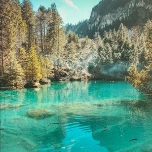 Meet your Posher, Fred